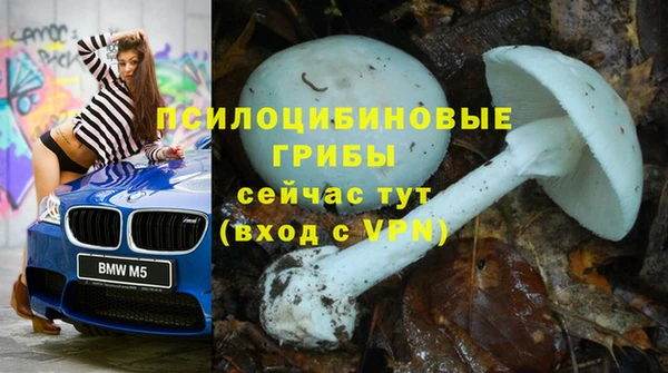 сатива Алексеевка