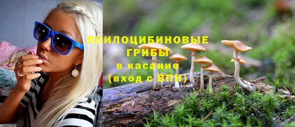 сатива Алексеевка