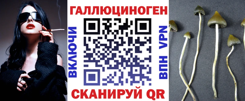 Купить где  Сретенск  Галлюциногенные грибы GOLDEN TEACHER 